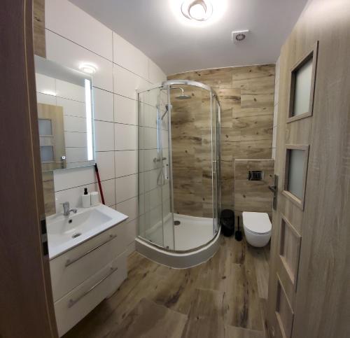 a bathroom with a shower and a sink and a toilet at ApartHotel10 in Bystrzyca Kłodzka