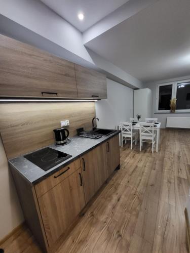 Kuchyň nebo kuchyňský kout v ubytování ApartHotel10