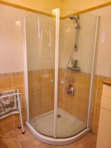 une douche avec une porte vitrée dans une salle de bain dans l'établissement Villa Aurea, à Hyères