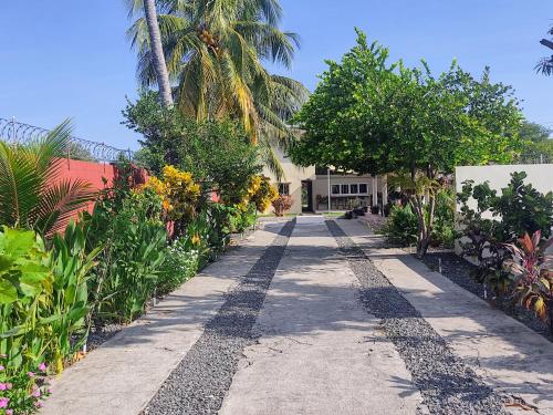 a pathway leading to a house with trees and flowers at Rancho Del Oso Tuerto in Marcelino