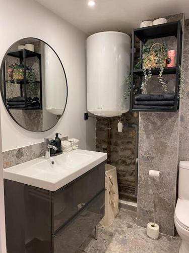 une salle de bain avec un lavabo et un miroir et des toilettes dans l'établissement Appartement Clermont-Fd jaude 1, à Clermont-Ferrand