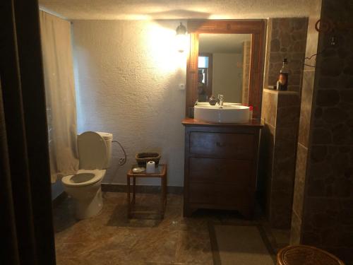 a bathroom with a sink and a toilet and a mirror at Hiti Lodge in Fare