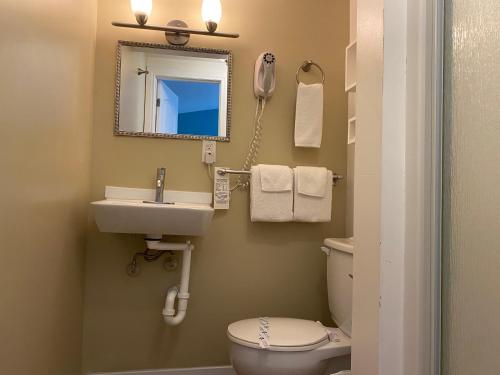 a bathroom with a sink and a toilet and a mirror at Motel des Cèdres in Sherbrooke