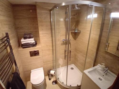e bagno con doccia, servizi igienici e lavandino. di Urban Oasis at Luxurious Ocean Village a Gibilterra