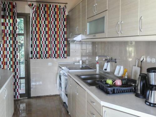 a kitchen with a sink and a washing machine at Villa Rastoni in Áyios Andréas Arkadias