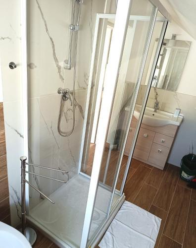 a shower with a glass door in a bathroom at Residenza delle Nazioni in Gatteo a Mare