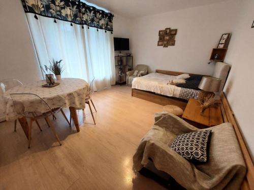 um quarto com uma cama, uma mesa e um sofá em Résidence Montcalm D - Studio pour 3 Personnes 704 em Aix-les-Bains