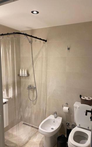 a bathroom with a shower and a toilet and a sink at DUO Espectacular Monoamb, Belgrano in Buenos Aires