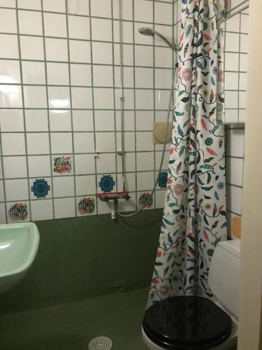 La salle de bains est pourvue d'un rideau de douche et de toilettes. dans l'établissement Quite house near center, à Eskilstuna