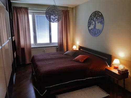 una camera con un grande letto e una finestra di Slnečný 2 izbový byt 5 minút od centra mesta a Zvolen