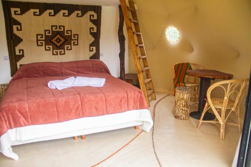 a bedroom with a bed and a ladder at Willkay Glamping Raco Tucumán in Tafí Viejo