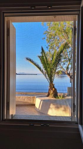 ガブリオンにあるSea Senses Andros - A Beachfront Retreatの窓からヤシの木を望む