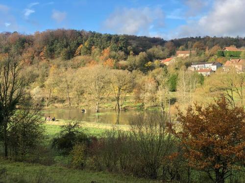 Blick auf einen See auf einem Feld mit Bäumen in der Unterkunft Chez Barbich’s in Jezainville