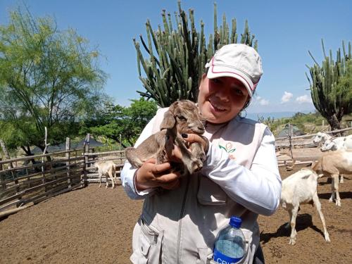 una mujer sosteniendo un bebé cabra delante de un rebaño de ovejas en tour & hosteleria moonlight, en Villavieja
