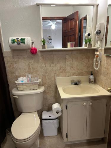 La salle de bains est pourvue de toilettes, d'un lavabo et d'un miroir. dans l'établissement Paradise, à Miami