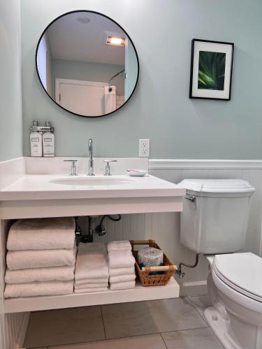a bathroom with a sink and a mirror at Blue Vista Motor Lodge in Florida