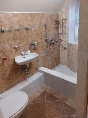 a bathroom with a sink and a toilet and a shower at Bavorská chata in Železná Ruda