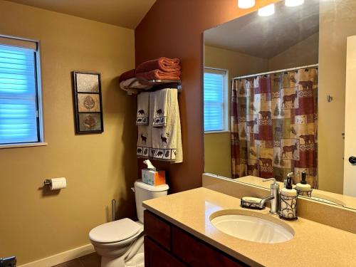 a bathroom with a sink and a toilet and a mirror at Sweet Pea in Red Lodge
