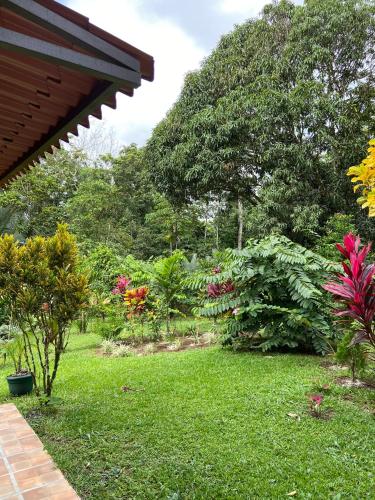 a garden with flowers and trees in the background at Serenity in Fortuna