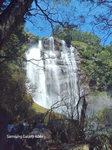 a waterfall in the middle of a forest at Uduwara Holiday Home in Badulla
