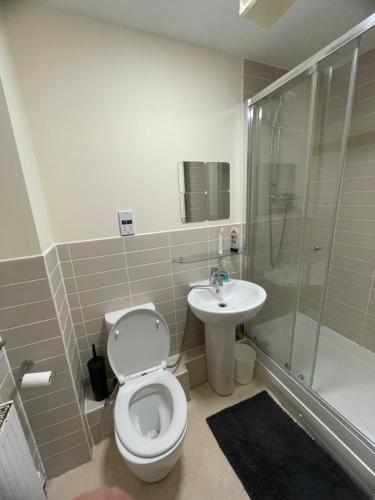 伯明罕的住宿－Luxury ensuite room near city centre，浴室配有卫生间、淋浴和盥洗盆。
