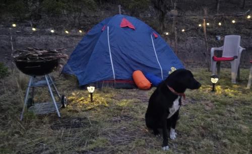 Gallery image of Zonas Camping NaturaLove in Monguí