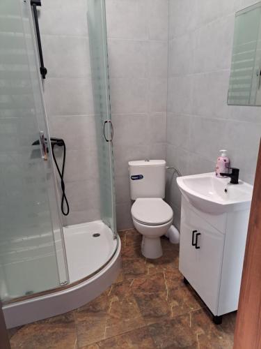 a bathroom with a shower and a toilet and a sink at Zajazd Izabell 