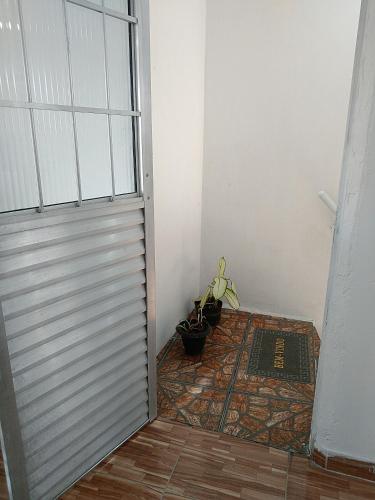 a hallway with a white door and a rug and a plant at APÊ AVENIDA - BONITO/PE in Bonito