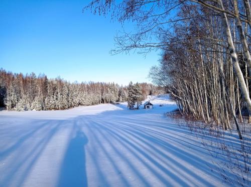 a snow covered road with trees in the distance at Seto Kapten in Meremäe