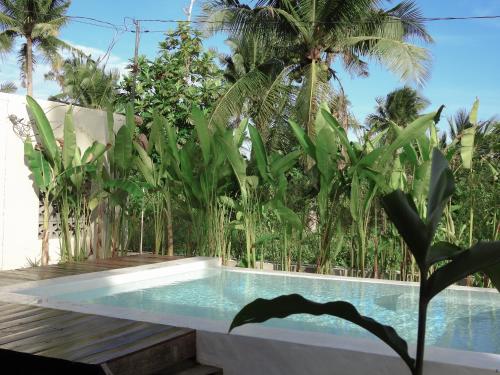 a swimming pool in a garden with palm trees at Single Fin Siargao in General Luna
