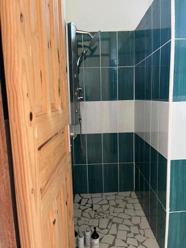 a bathroom with a shower with green tiles and a door at Tranquillité et repos in Sainte-Anne