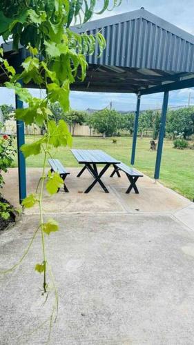a picnic shelter with a picnic table in a park at Dhanda Farm Bathurst in Raglan