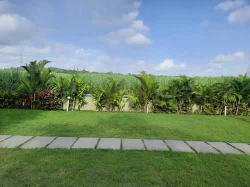 a field of grass with palm trees in the background at DANDELI CROCODILE EDGE HOME STAY in Dandeli