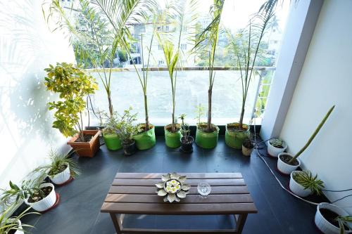 a room with potted plants and a wooden table at DrizzleDrop Inn Chennai in Chennai