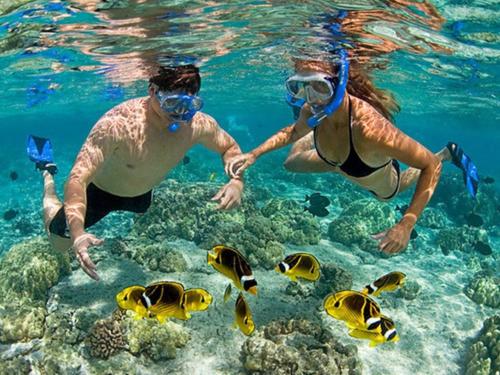 dos personas en el océano mirando peces en el agua en DAILY TRIP KOMODO TOUR en Labuan Bajo