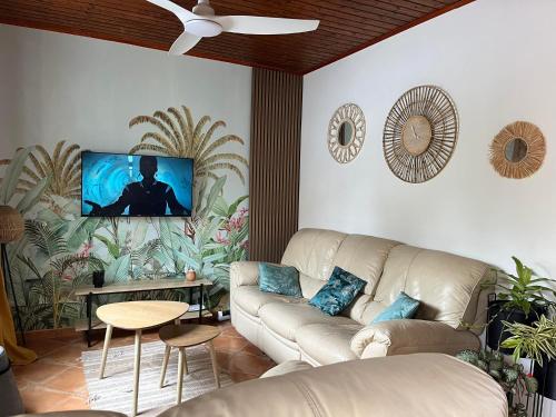 聖若瑟的住宿－Anaïs Pool，客厅配有沙发和墙上的电视