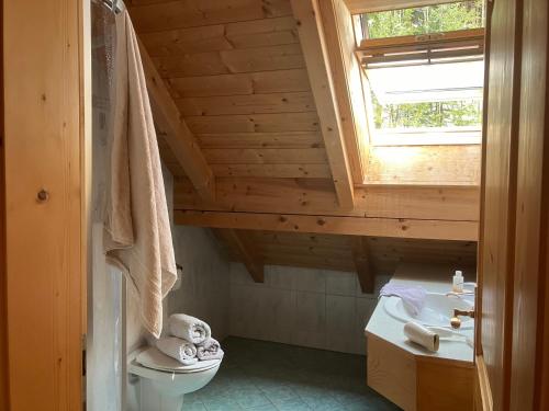 a bathroom with a toilet and a sink and a window at Ferienwohnungen Hannesbichler in Patergassen
