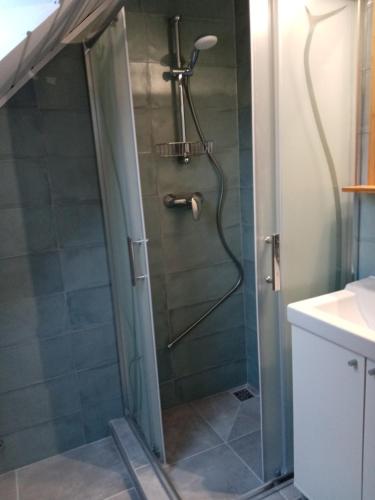 a shower with a glass door in a bathroom at BalcsiHáz Badacsony in Badacsonytomaj