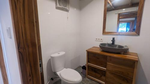 a bathroom with a toilet and a sink and a mirror at Taman Fajar Gili Asahan in Gili Asahan