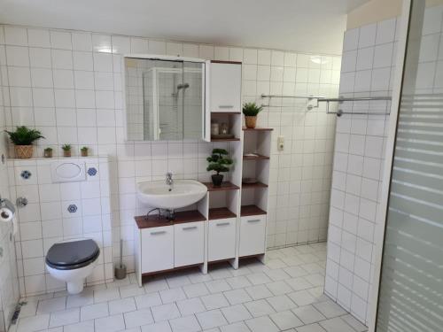 ein Badezimmer mit einem Waschbecken, einem WC und einem Spiegel in der Unterkunft Ferienwohnung Camping Buchholz in Hamburg