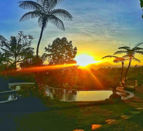 a sunset with palm trees and a body of water at Jungle Villa! Breath-taking views & near Ubud! in Penginyahan