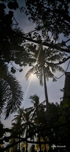 Gallery image of Villas Light House - Eco-Traditional Joglo in Gili Trawangan