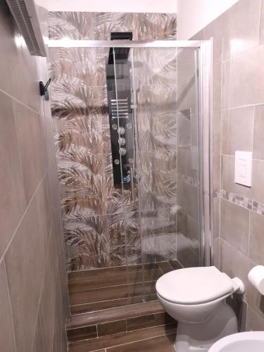 a bathroom with a toilet and a shower at IL NIDO Suite in Fiuggi