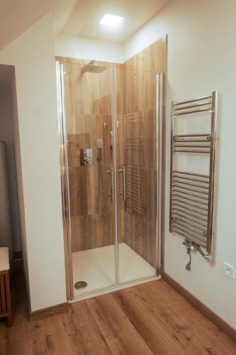 una ducha con puerta de cristal en un baño en Apartmán Rustikal, en Trstěnice