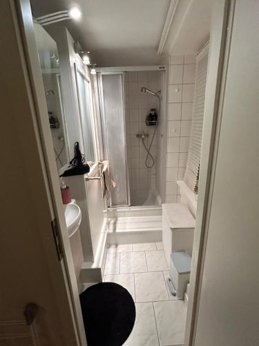 baño pequeño con ducha y lavamanos en Maison Merz, en La Neuveville
