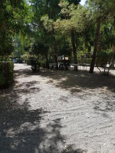 Oriental Park – Ritratti 3