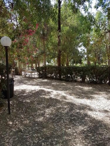 Oriental Park – Ritratti 2