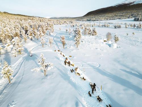 a group of people on skis in the snow at Sjodalen Hyttetun og Camping in Stuttgongfossen