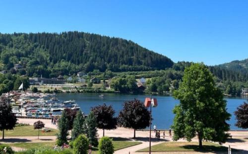 vista su una cassa d'acqua con porto turistico di Les yeux du lac a Gérardmer