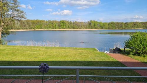 a view of a large lake with a fence at Ferienwohnung Prälank direkt am See in Neustrelitz